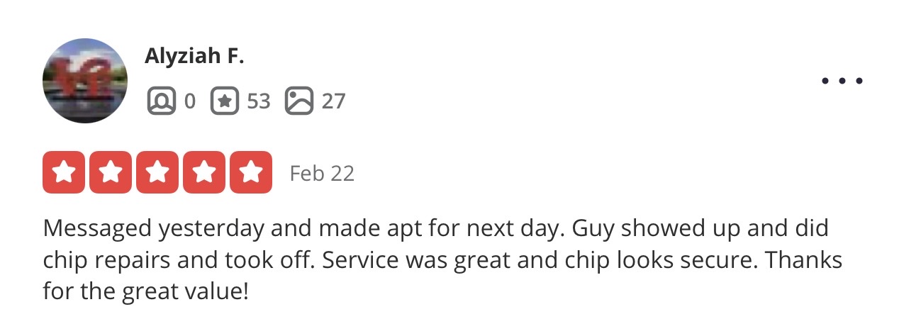 Glass Guardian customer review 12