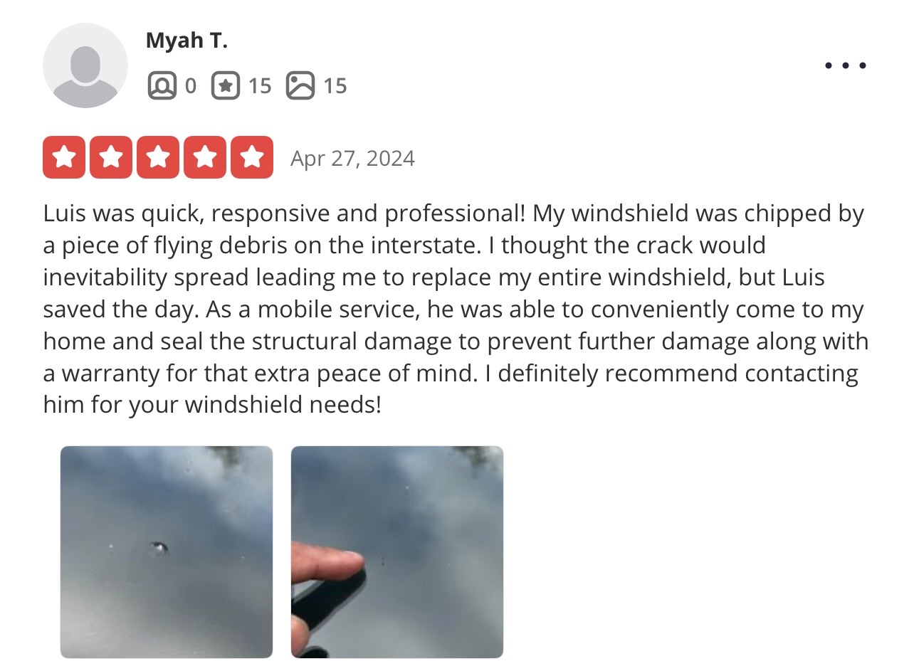 Glass Guardian customer review 3